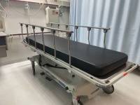 STERIS HAUSTED HORIZON SERIES MULTI-PUPROSE STRETCHER