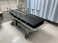 STERIS HAUSTED HORIZON SERIES MULTI-PUPROSE STRETCHER