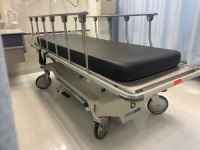 STERIS HAUSTED HORIZON SERIES MULTI-PUPROSE STRETCHER