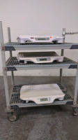 RICE LAKE RL-DBS LOT OF INFANT SCALES (NO CART)