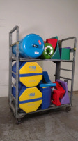 SAMMONS PRESTON TUMBLE FORMS PEDIATRIC REHAB EQUIPMENT (MOSTLY SAMMONS PRESTON TUMBLE FORMS)(NO CART)