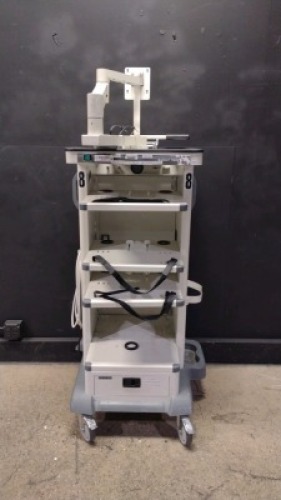 KARL STORZ ENDOSCOPY CART