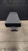 SKYTRON ELITE 3001 PAIN MANAGEMENT TABLE WITH HAND CONTROL