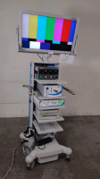 CONMED/LINVATEC IM4000 ENDOSCOPY SYSTEM TO INCLUDE: IM4000 CAMERA CONTROL UNIT, XENON LIGHT SOURCE, STORZ 26012 LAPAROFLATOR, SONY UP-55MD PRINTER, 32 INCH NDS HD RADIANCE MONITOR, TOWER