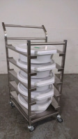 STERILIZATION CART WITH TRAYS