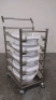 STERILIZATION CART WITH TRAYS