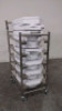 STERILIZATION CART WITH TRAYS