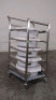 STERILIZATION CART WITH TRAYS