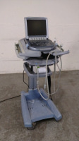 SONOSITE M-TURBO ULTRASOUND SYSTEM WITH 2 PROBES (HFL38X, P21X) ON MOBILE DOCKING SYSTEM LITE