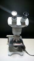 AO SPENCER FIFTY LAB MICROSCOPE WITH 4 OBJECTIVES (10X, 43X, 100X)