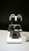 LEITZ LABORLUX 11 LAB MICROSCOPE WITH 3 OBJECTIVES (4X, 10X, 40X)