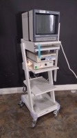 OLYMPUS ENDOSCOPY SYSTEM TO INCLUDE: TRINITRON OEV143, OLYMPUS VISERA OTV-S7, AND OLYMPUS CLH-250 ON A CART