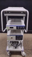 OLYMPUS ENDOSCOPY SYSTEM TO INCLUDE VISERA ELITE OTV-S190 CAMERA CONTROL UNIT, CLV-S190 LIGHT SOURCE ON CART