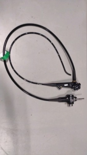 OLYMPUS GIF-Q180 GASTROSCOPE (LOCATED AT 3325 MOUNT PROSPECT ROAD, FRANKLIN PARK, IL, 60131)