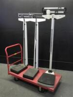 HEALTHOMETER/SECA LOT OF SCALES (NO CART)