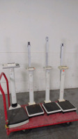 SECA LOT OF (4) SCALES (NO CART)