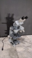 AMERICAN OPTICAL 1086 LAB MICROSCOPE WITH 2 OBJECTIVES (10X,45X)