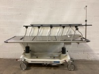 STERIS HAUSTED STRETCHER