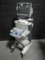 BK MEDICAL 2101 FALCON ULTRASOUND MACHINE