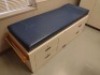 FIXED POSITION EXAM TABLE (BLUE TOP)