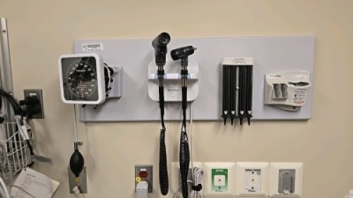 WELCH ALLYN INTEGRATED WALL BOARD SYSTEM TO INCLUDE: 777 TRANSFORMER WITH REF 23810 MACRO VIEW OTOSCOPE, REF 901022 PANOPTIC OPHTHALMOSCOPE, SPHYGMOMANOMETER, DIGITAL THERMOMETER DOCK STATION, SPECULA TIP DISPENSER