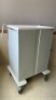 WATERLOO HEALTHCARE MEDLINE CART SYSTEM (TWP) - 2
