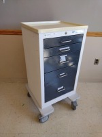 WATERLOO HEALTHCARE MED JR CART SYSTEM (TSB)