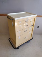 AMERICAN HOSPITAL SUPPLY CART SYSTEM (TWY)
