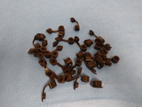 OLYMPUS MH-579 BIOPSY VALVE, QTY. (33)