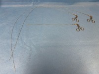 KARL STORZ LOT OF 5 FLEXIBLE GRASPERS