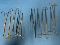 LOT OF LONG INSTRUMENTS