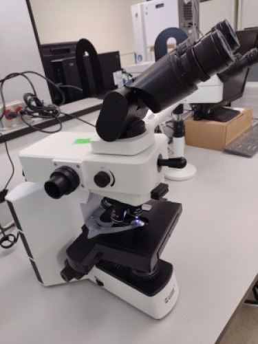 LAXCO LMC4-BF153 MULTIPLE VIEWING MICROSCOPE WITH (PL10X/22, PL10X/22) EYEPIECE, (PL10X/22, PL10X/22) EYEPIECE