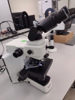 LAXCO LMC4-BF153 MULTIPLE VIEWING MICROSCOPE WITH (PL10X/22, PL10X/22) EYEPIECE, (PL10X/22, PL10X/22) EYEPIECE