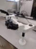 LAXCO LMC4-BF153 MULTIPLE VIEWING MICROSCOPE WITH (PL10X/22, PL10X/22) EYEPIECE, (PL10X/22, PL10X/22) EYEPIECE - 2