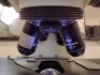 LAXCO LMC4-BF153 MULTIPLE VIEWING MICROSCOPE WITH (PL10X/22, PL10X/22) EYEPIECE, (PL10X/22, PL10X/22) EYEPIECE - 5