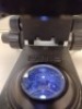 LAXCO LMC4-BF153 MULTIPLE VIEWING MICROSCOPE WITH (PL10X/22, PL10X/22) EYEPIECE, (PL10X/22, PL10X/22) EYEPIECE - 7