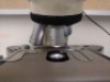 LEICA DM 1000 MULTIPLE VIEWING MICROSCOPE WITH (10X/20, 10X/20) EYEPIECE, (10X/20, 10X/20) EYEPIECE - 4