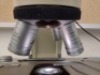 LEICA DM 1000 MULTIPLE VIEWING MICROSCOPE WITH (10X/20, 10X/20) EYEPIECE, (10X/20, 10X/20) EYEPIECE - 5