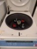 THERMO SCIENTIFIC SORVALL ST16 BENCHTOP CENTRIFUGE - 2