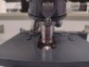 AMERICAN OPTICAL CAL MICROSCOPE WITH (10XWF, 10XWF) OCULAR LENS, QTY. 3 OBJECTIVE LENS - 13