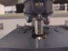 AMERICAN OPTICAL CAL MICROSCOPE WITH (10XWF, 10XWF) OCULAR LENS, QTY. 3 OBJECTIVE LENS - 15