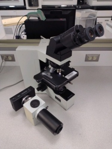 OLYMPUS BX40 MICROSCOPE WITH (WH10X, WH10X) OCULAR LENS, (PLAN 40X/0.65, PLAN 4X/0.10, PLAN N 10X/0.25, PLAN 20X/NA UP U-SPT) OBJECTIVE LENS, PM-PB20 CAMERA ATTACHMENT