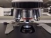 ZEISS LAB A1 AXIO MICROSCOPE WITH (E-PI 10X/20, E-PI 10X/20) OCULAR LENS, (N/NACROPLAN 50X/1, 0, A-PLAN 100X/1.25, 5X/0, 12, A-PLAN 10X/0, 25) OBJECTIVES - 4
