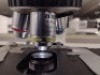 ZEISS LAB A1 AXIO MICROSCOPE WITH (E-PI 10X/20, E-PI 10X/20) OCULAR LENS, (N/NACROPLAN 50X/1, 0, A-PLAN 100X/1.25, 5X/0, 12, A-PLAN 10X/0, 25) OBJECTIVES - 5