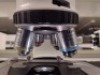ZEISS LAB A1 AXIO MICROSCOPE WITH (E-PI 10X/20, E-PI 10X/20) OCULAR LENS, (N/NACROPLAN 50X/1, 0, A-PLAN 100X/1.25, 5X/0, 12, A-PLAN 10X/0, 25) OBJECTIVES - 6