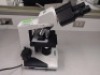 VANGUARD 1220CM MICROSCOPE WITH (WF10X, WF10X) OCULAR LENS, (40X/0.65, 100X/1.25, 4X/0.10, 10X/0.25) OBJECTIVE LENS - 8