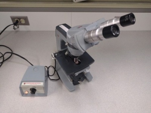 AMERICAN OPTICAL CAL MICROSCOPE WITH (10XWF, 10XWF) OCULAR LENS, QTY. 3 OBJECTIVE LENS