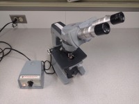 AMERICAN OPTICAL CAL MICROSCOPE WITH (10XWF, 10XWF) OCULAR LENS, QTY. 3 OBJECTIVE LENS