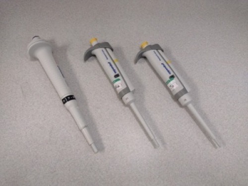 EPPIDORF VARIOUS MODEL PIPETTES, QTY. (3)