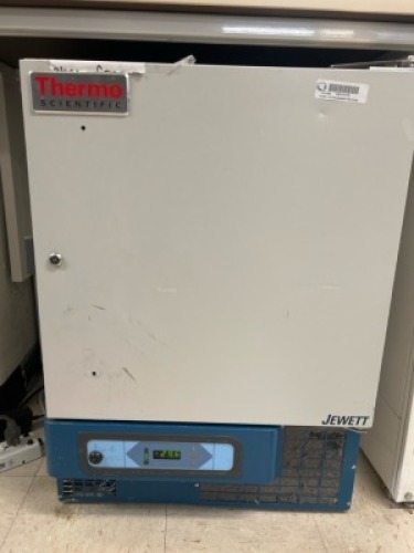 THERMO FISHER SCIENTIFIC JLF430A21 UNDERCOUNTER LABOARATORY REFRIGERATOR